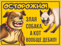 Табличка «Злая собака, а кот дебил»